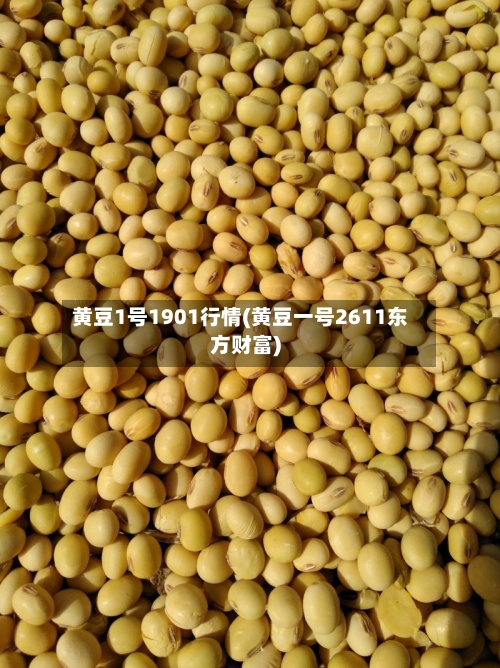 黄豆1号1901行情(黄豆一号2611东方财富)