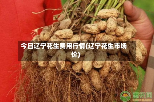 今日辽宁花生费用行情(辽宁花生市场价)-第3张图片