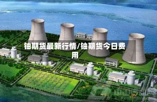 铀期货最新行情/铀期货今日费用-第3张图片
