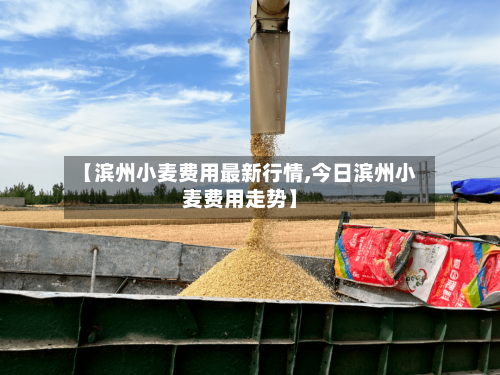 【滨州小麦费用最新行情,今日滨州小麦费用走势】-第2张图片