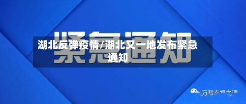 湖北反弹疫情/湖北又一地发布紧急通知
