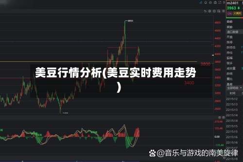 美豆行情分析(美豆实时费用走势)