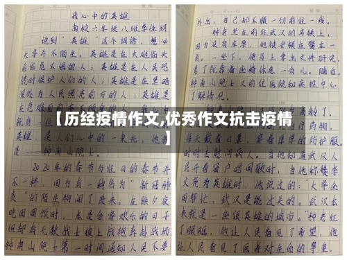 【历经疫情作文,优秀作文抗击疫情】-第2张图片