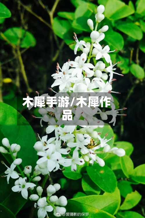 木犀手游/木犀作品