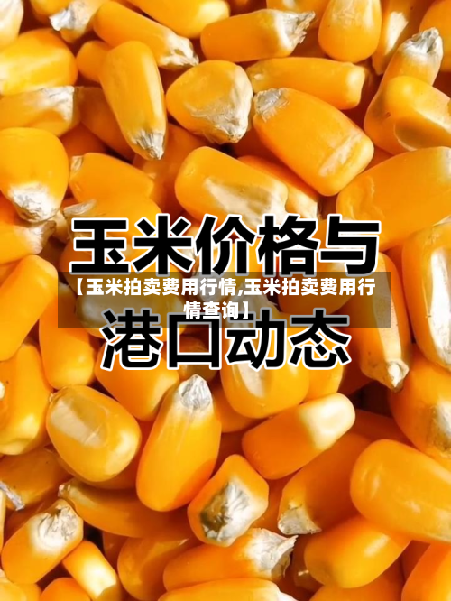 【玉米拍卖费用行情,玉米拍卖费用行情查询】-第2张图片