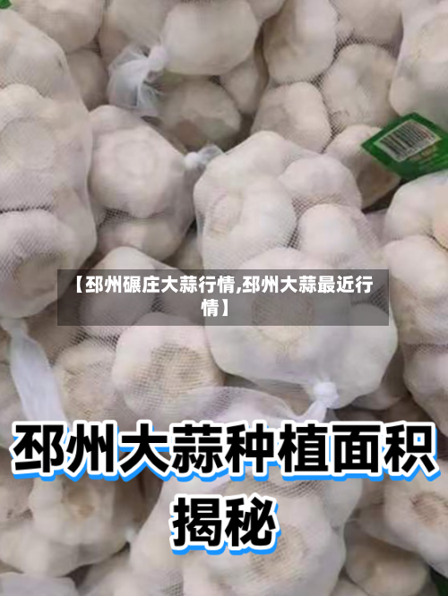 【邳州碾庄大蒜行情,邳州大蒜最近行情】-第2张图片