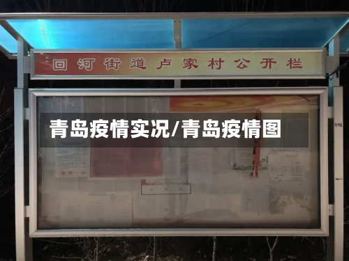 青岛疫情实况/青岛疫情图