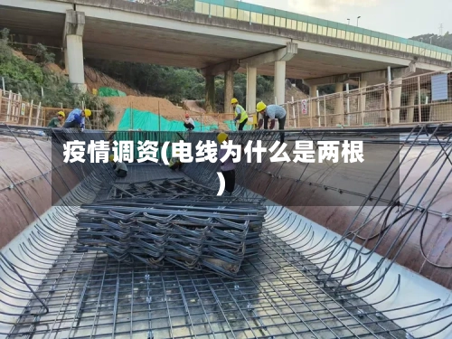 疫情调资(电线为什么是两根)