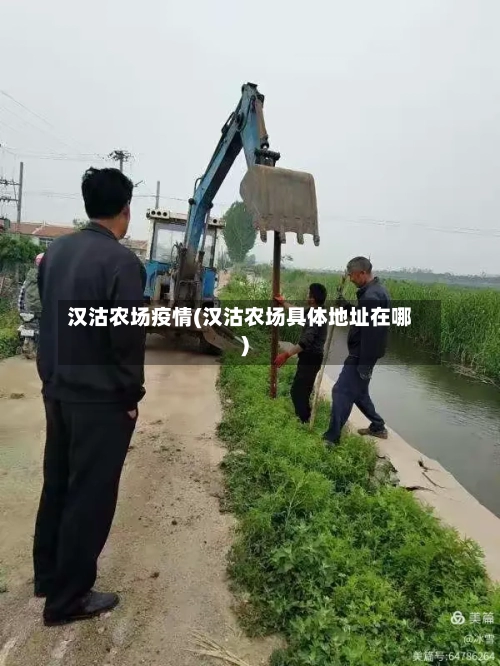 汉沽农场疫情(汉沽农场具体地址在哪)