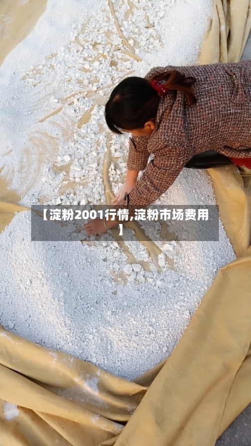 【淀粉2001行情,淀粉市场费用】