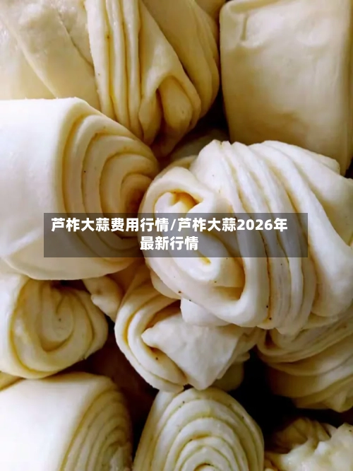 芦柞大蒜费用行情/芦柞大蒜2026年最新行情