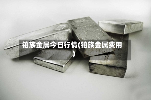铂族金属今日行情(铂族金属费用)-第3张图片