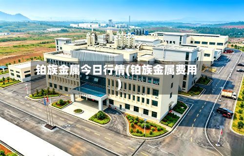 铂族金属今日行情(铂族金属费用)-第2张图片