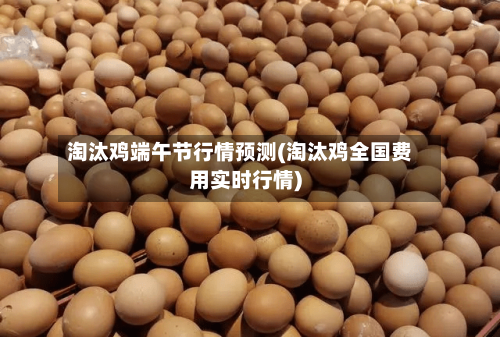 淘汰鸡端午节行情预测(淘汰鸡全国费用实时行情)