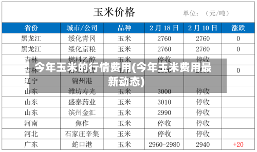 今年玉米的行情费用(今年玉米费用最新动态)