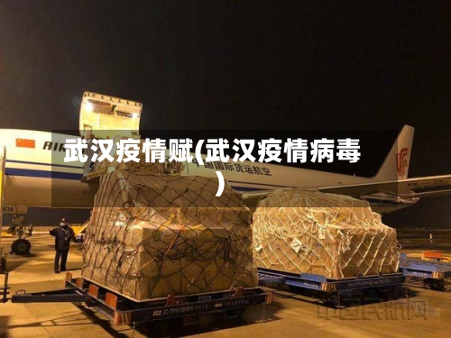武汉疫情赋(武汉疫情病毒)