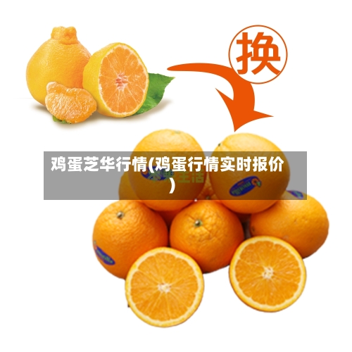 鸡蛋芝华行情(鸡蛋行情实时报价)