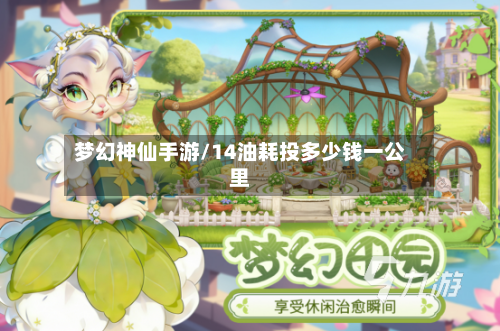 梦幻神仙手游/14油耗投多少钱一公里