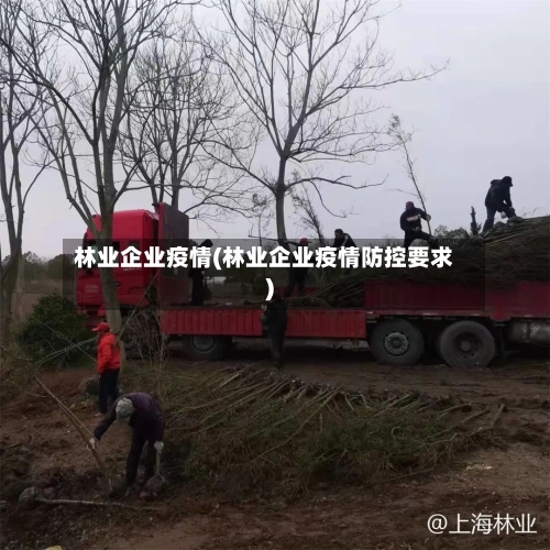 林业企业疫情(林业企业疫情防控要求)