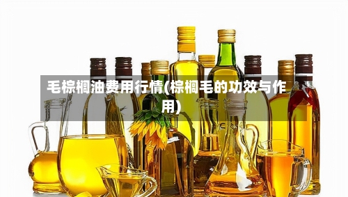 毛棕榈油费用行情(棕榈毛的功效与作用)