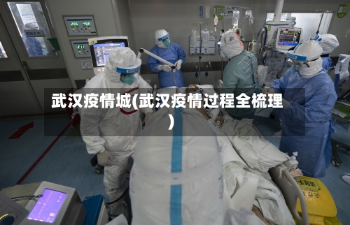 武汉疫情城(武汉疫情过程全梳理)