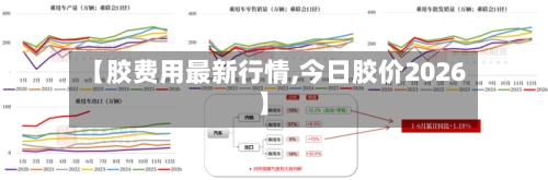 【胶费用最新行情,今日胶价2026】-第2张图片