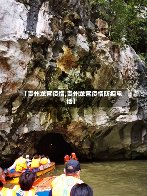 【贵州龙宫疫情,贵州龙宫疫情防控电话】