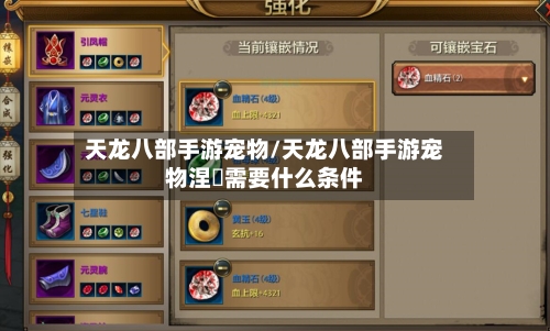天龙八部手游宠物/天龙八部手游宠物涅槃需要什么条件