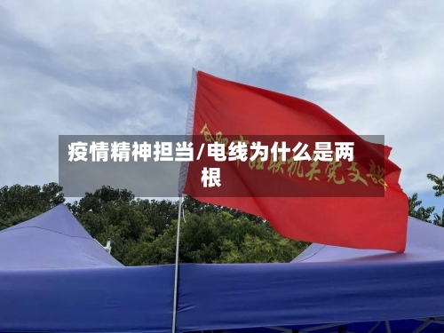 疫情精神担当/电线为什么是两根-第2张图片