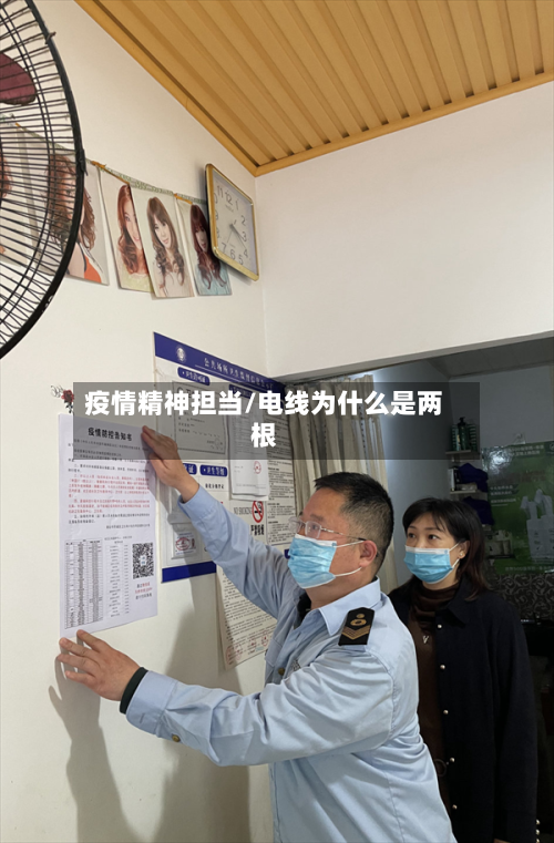 疫情精神担当/电线为什么是两根