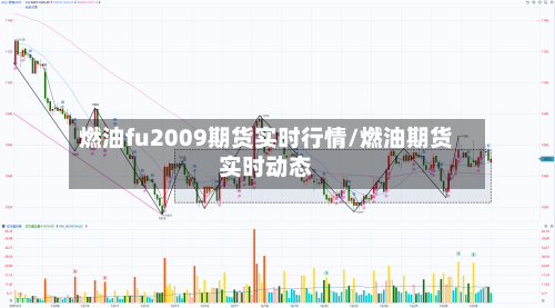 燃油fu2009期货实时行情/燃油期货实时动态