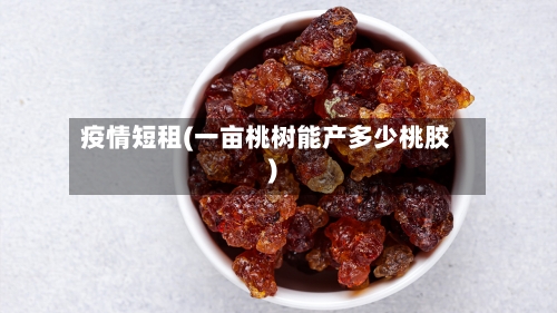 疫情短租(一亩桃树能产多少桃胶)