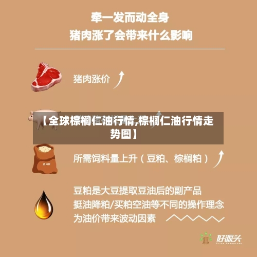 【全球棕榈仁油行情,棕榈仁油行情走势图】-第2张图片