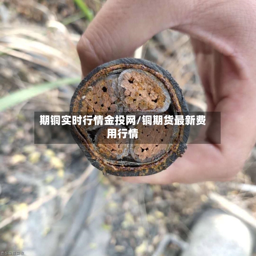 期铜实时行情金投网/铜期货最新费用行情