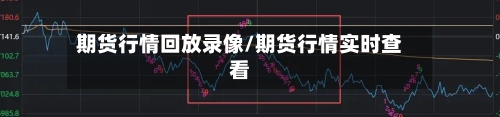 期货行情回放录像/期货行情实时查看-第2张图片