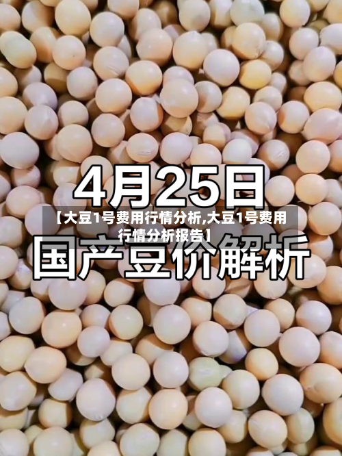 【大豆1号费用行情分析,大豆1号费用行情分析报告】-第3张图片