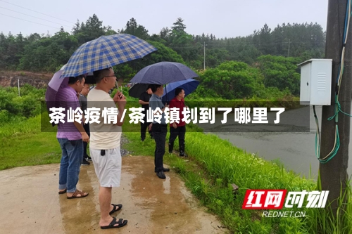 茶岭疫情/茶岭镇划到了哪里了-第3张图片