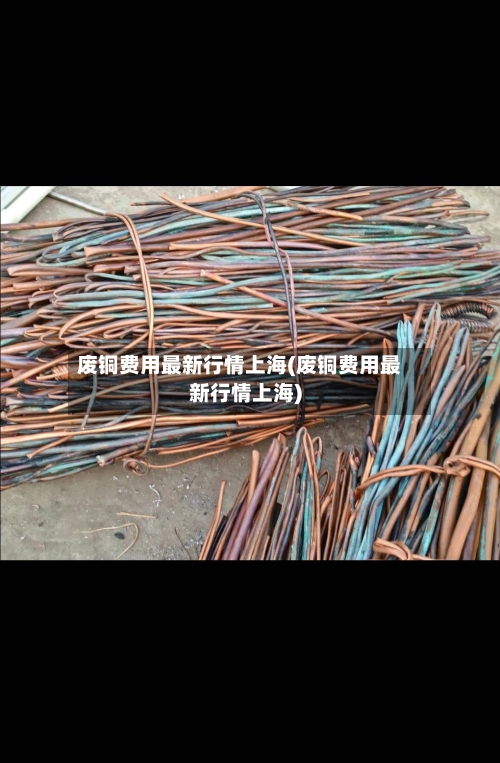 废铜费用最新行情上海(废铜费用最新行情上海)-第2张图片