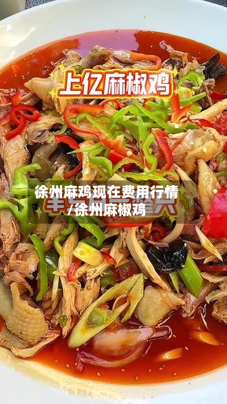 徐州麻鸡现在费用行情/徐州麻椒鸡-第3张图片