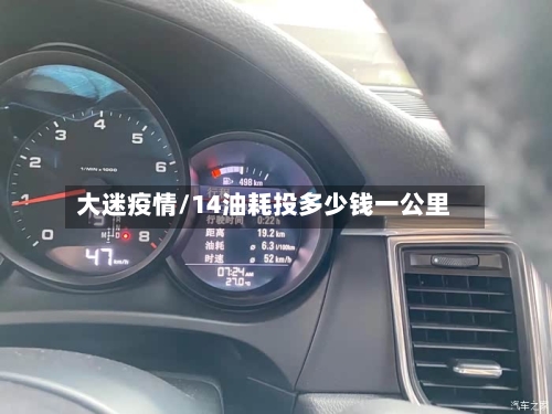 大迷疫情/14油耗投多少钱一公里-第2张图片