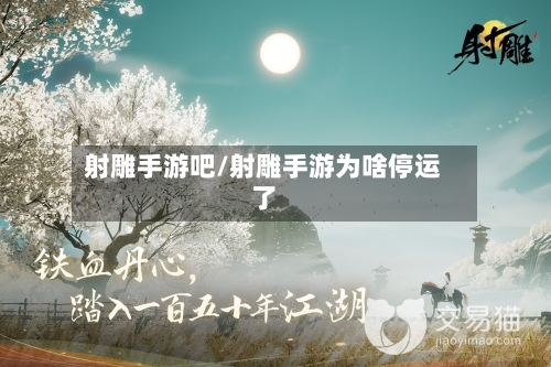 射雕手游吧/射雕手游为啥停运了-第3张图片