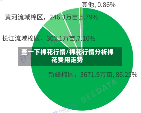 查一下棉花行情/棉花行情分析棉花费用走势-第3张图片