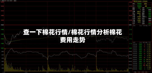 查一下棉花行情/棉花行情分析棉花费用走势