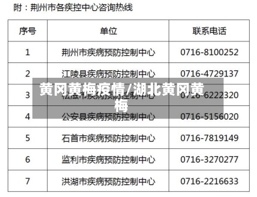 黄冈黄梅疫情/湖北黄冈黄梅-第2张图片