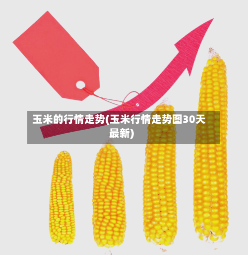 玉米的行情走势(玉米行情走势图30天最新)