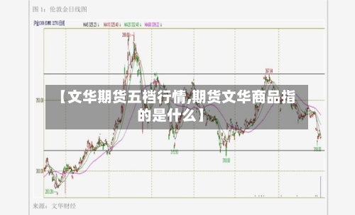 【文华期货五档行情,期货文华商品指的是什么】