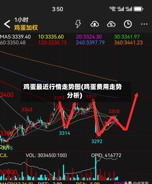 鸡蛋最近行情走势图(鸡蛋费用走势分析)-第3张图片