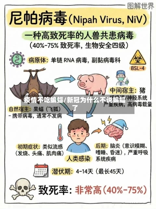 疫情不吃蝙蝠/新冠为什么不说蝙蝠了