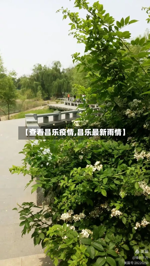 【查看昌乐疫情,昌乐最新雨情】