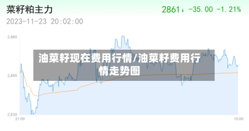 油菜籽现在费用行情/油菜籽费用行情走势图-第3张图片